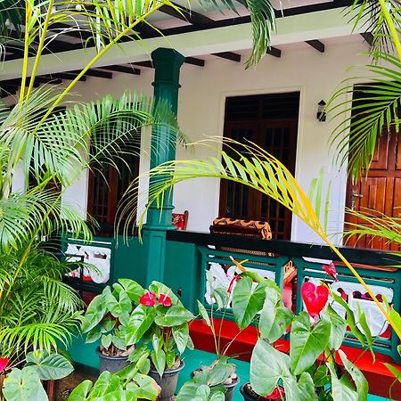Sigiri Budget Homestay Sigiriya Exteriér fotografie