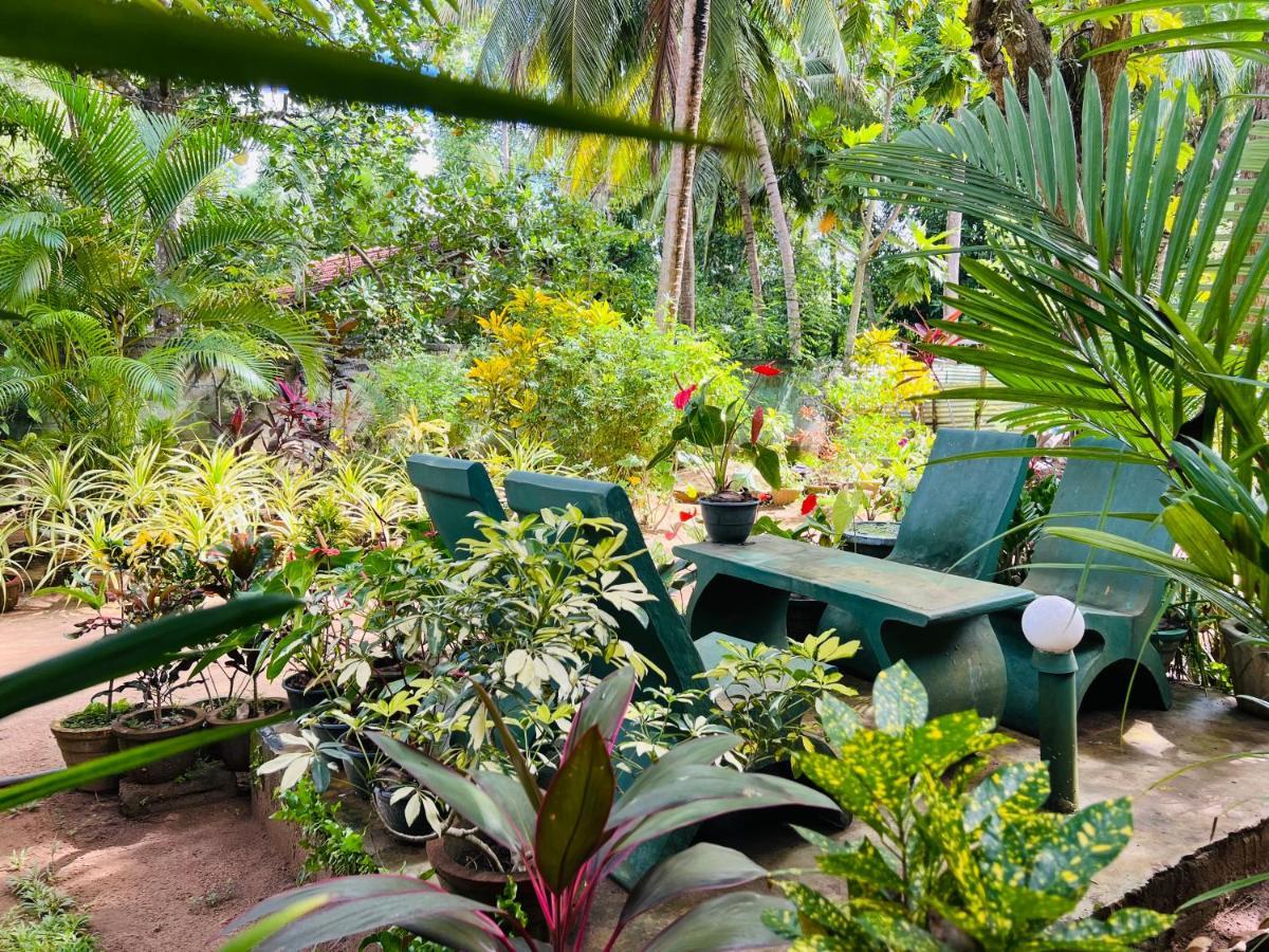 Sigiri Budget Homestay Sigiriya Exteriér fotografie