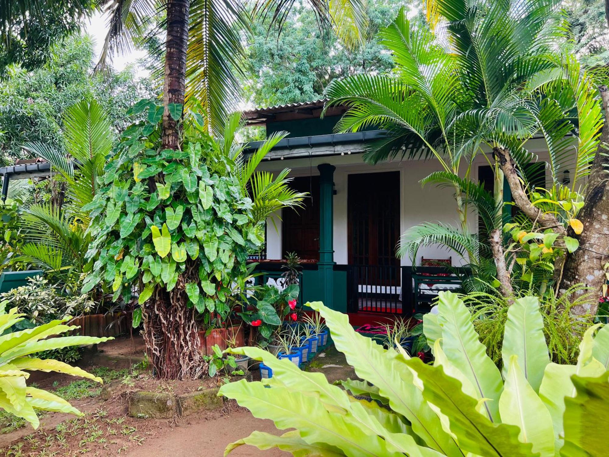 Sigiri Budget Homestay Sigiriya Exteriér fotografie