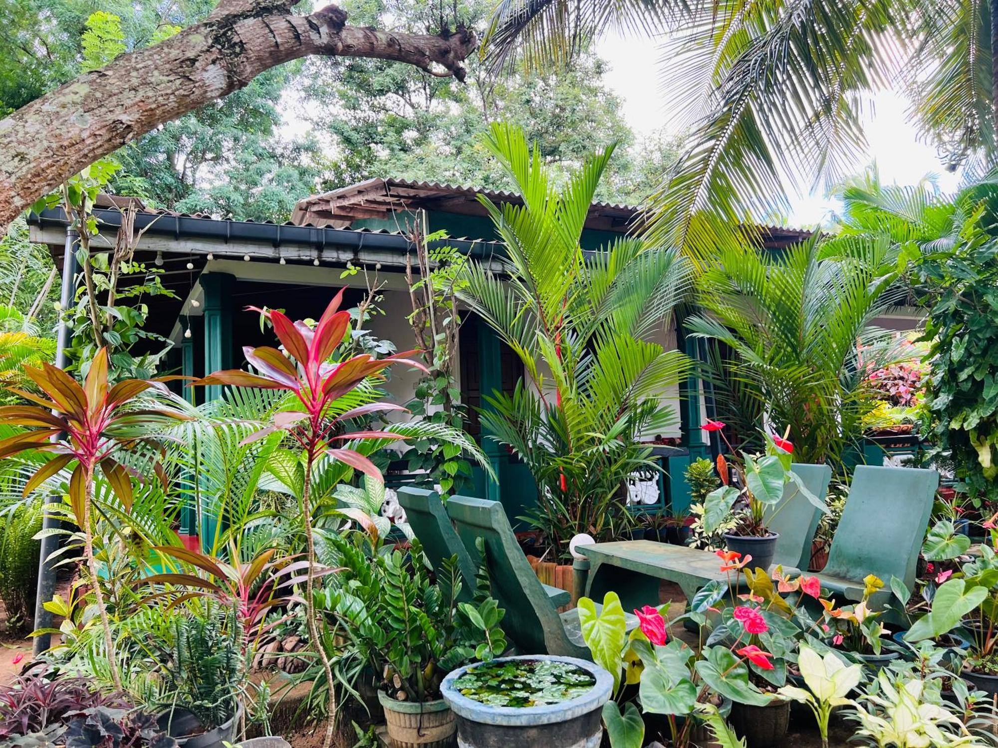 Sigiri Budget Homestay Sigiriya Exteriér fotografie